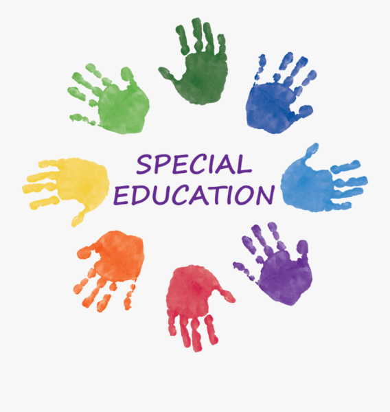 Navigation to Story: Diverse Abilities, Unified Futures: The View of Special Education Teaching